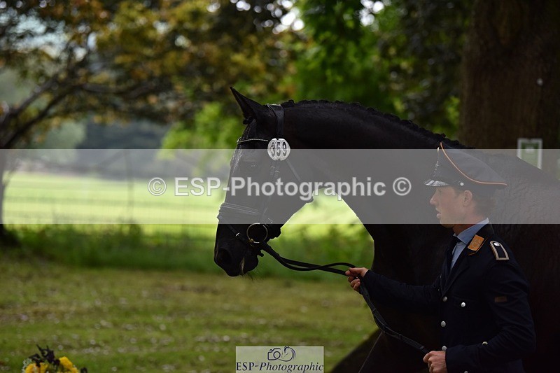 240522-152832-00365 - 359-PROMISING_PETE_TSF-Felix_Etzel