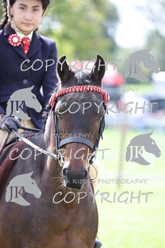 APP_3250 - Class 11 Veterans ridden