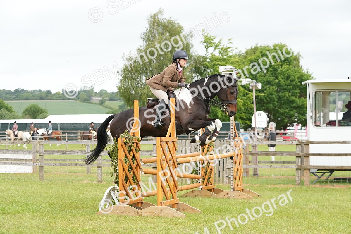 SBM_12565 - Class 97-98 - LIHS BSHA Rising Star Working Show Horse Hunter