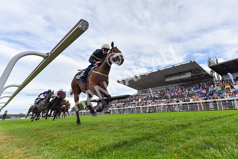 050725-Race 7-Dollys Delight-6314 - Race 7