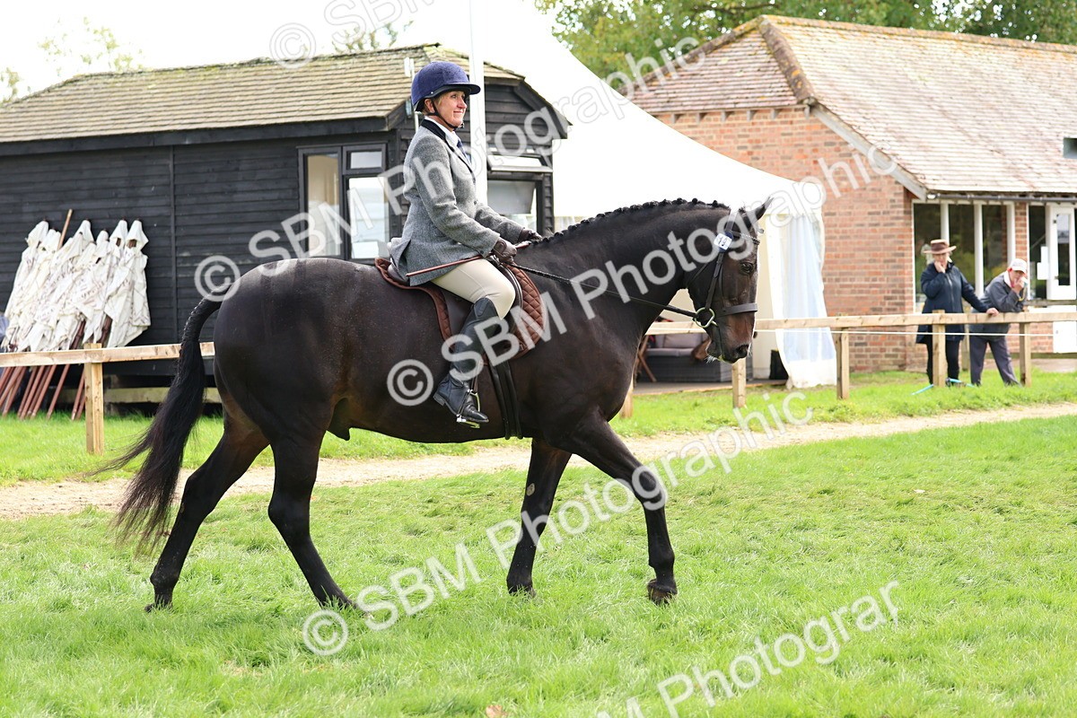 SBM_45160 - S27 - Young Veteran Ridden