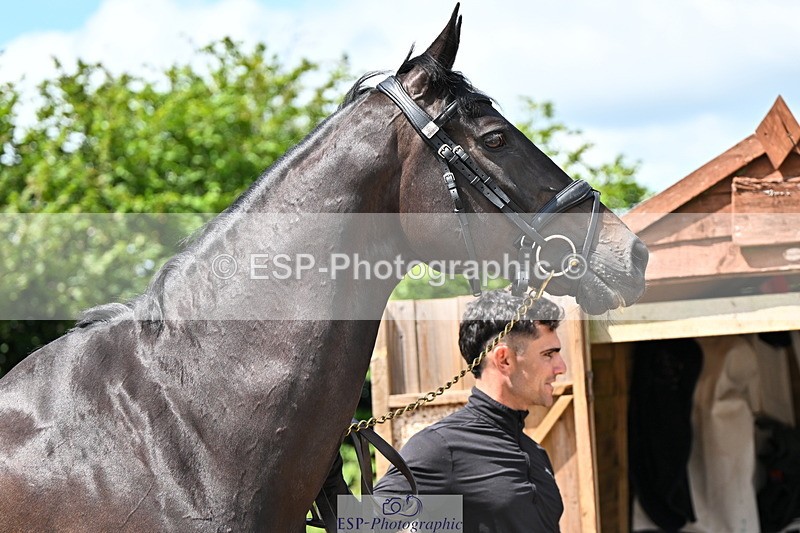 240718A-105244-01086 - Trot Up 12pm to 1pm