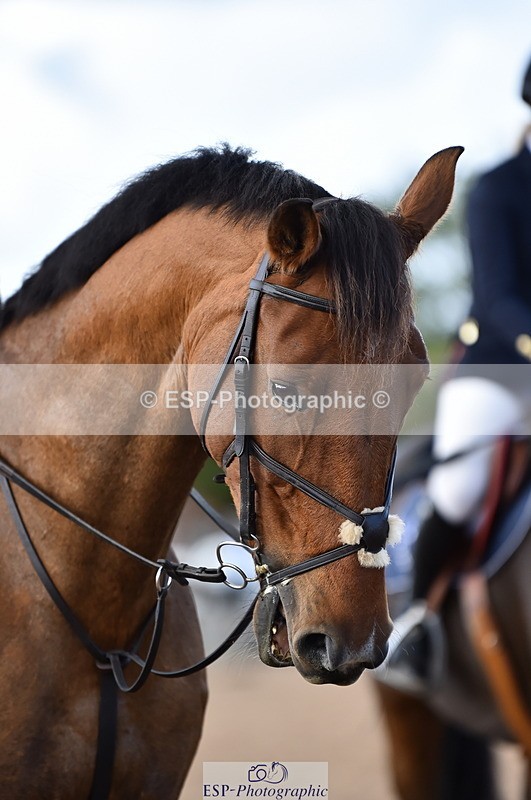 231014A-133012-05097 - Cls 14 95cm Grand Prix