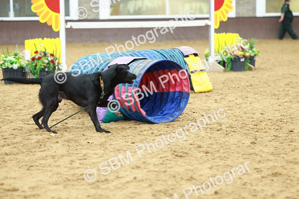 SBM_002569 - Class 3 - Horse & Hound (60cm)