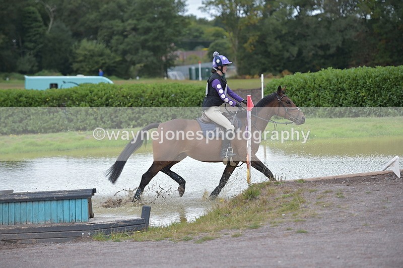 NGP_2651 - XC Time 11:37 to 11:57