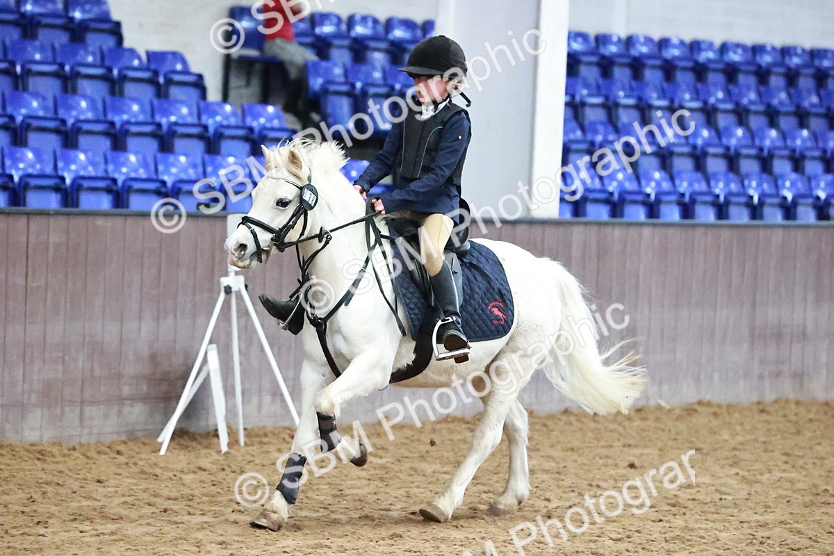 SBM_000526 - Class 2 - Show Jumping 50cm