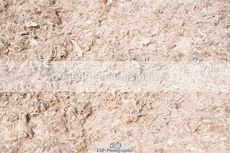 250523-131432-01641 - Cls 03 Snr Fox 1st Rnd