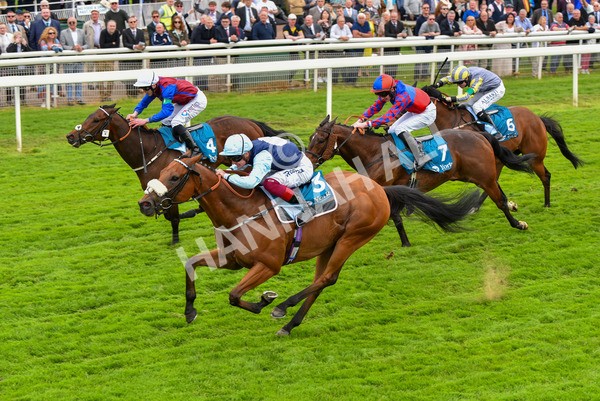 180523-Race 1-Regional-9513 - Race 1 1.50pm Lindum York Handicap