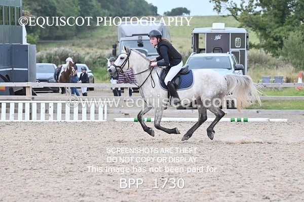 BPP_1730 - CLASS 12 Pony BritiNovice / 0.80m Open