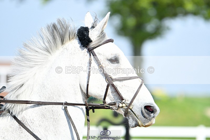 240512A-164727-19876 - Cls 44 1.05m National Am Quali