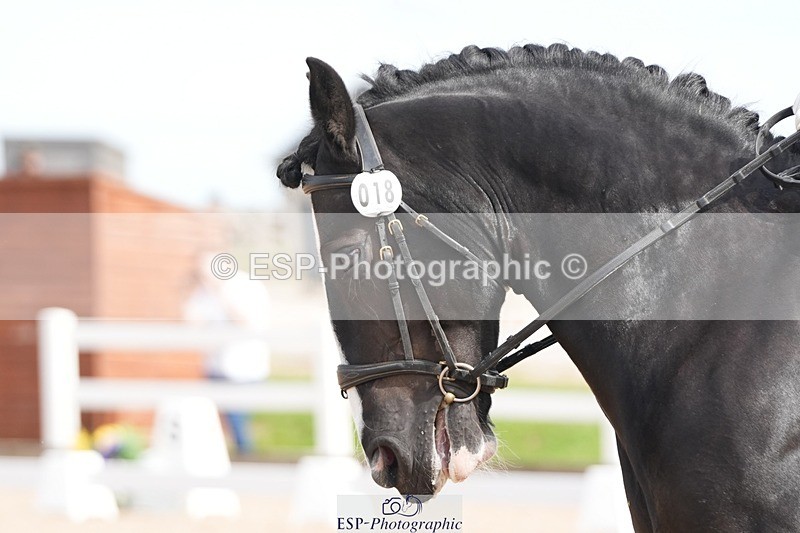 250906-132733-03620 - 018-Kathy.WhiteMilly.111