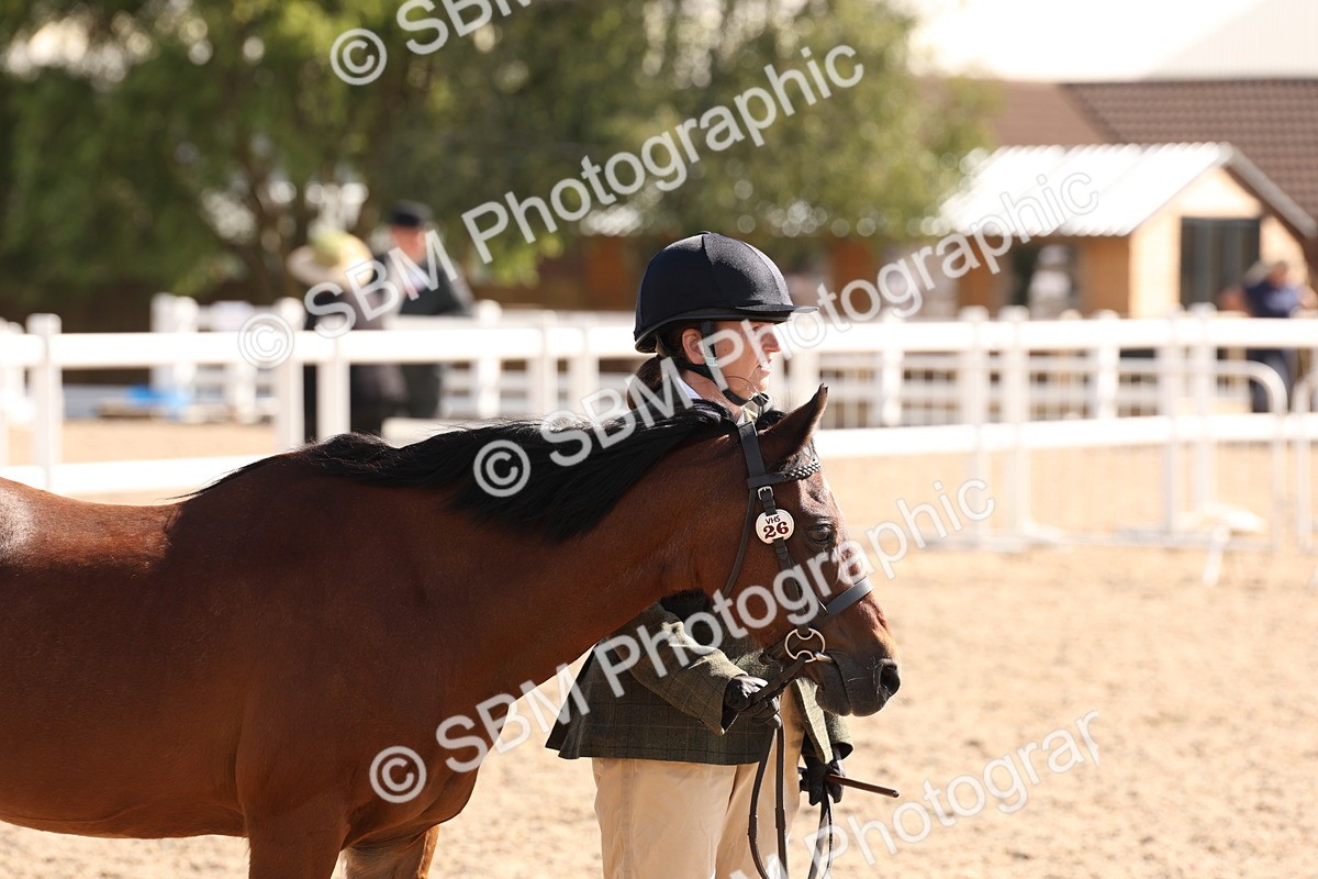 SBM_14114 - Class 207 - IH M&M