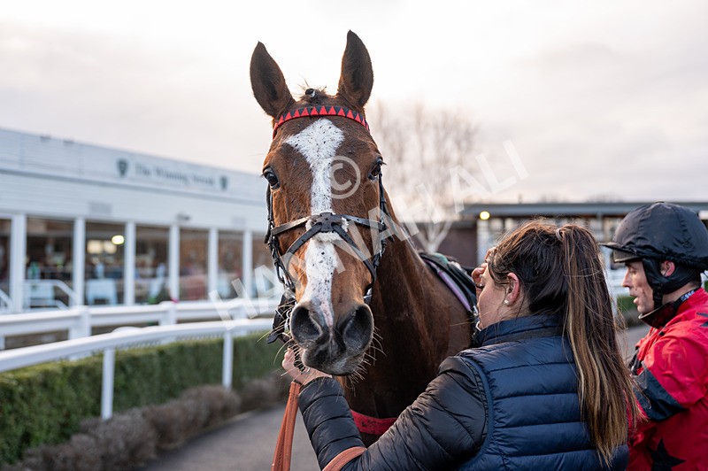 010125-Race 3-How About No-2233 - Race 3