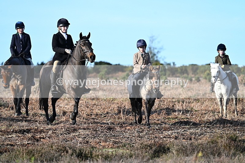 WJ7_7335 - Line 3 (no line 4 or 5)