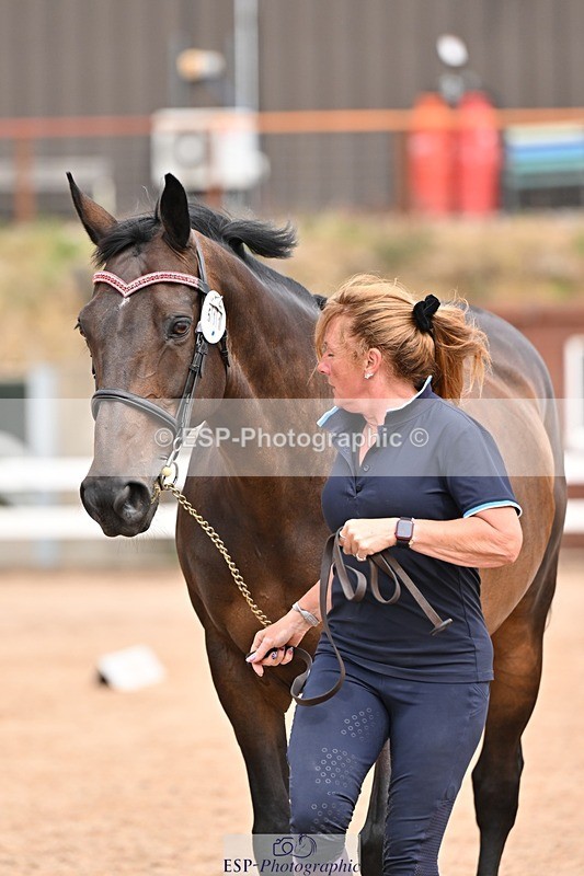 250716-153653-02051 - Trot Up 3.30 to 4.30