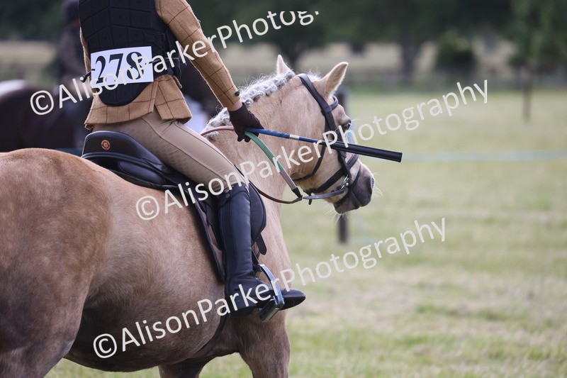 20260614-0464 - Class 20 - Beginners Working Hunter Pony