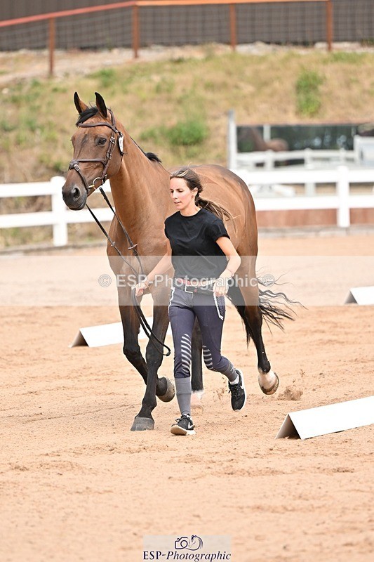 250716-150731-01652 - Trot Up 2.30 to 3.30