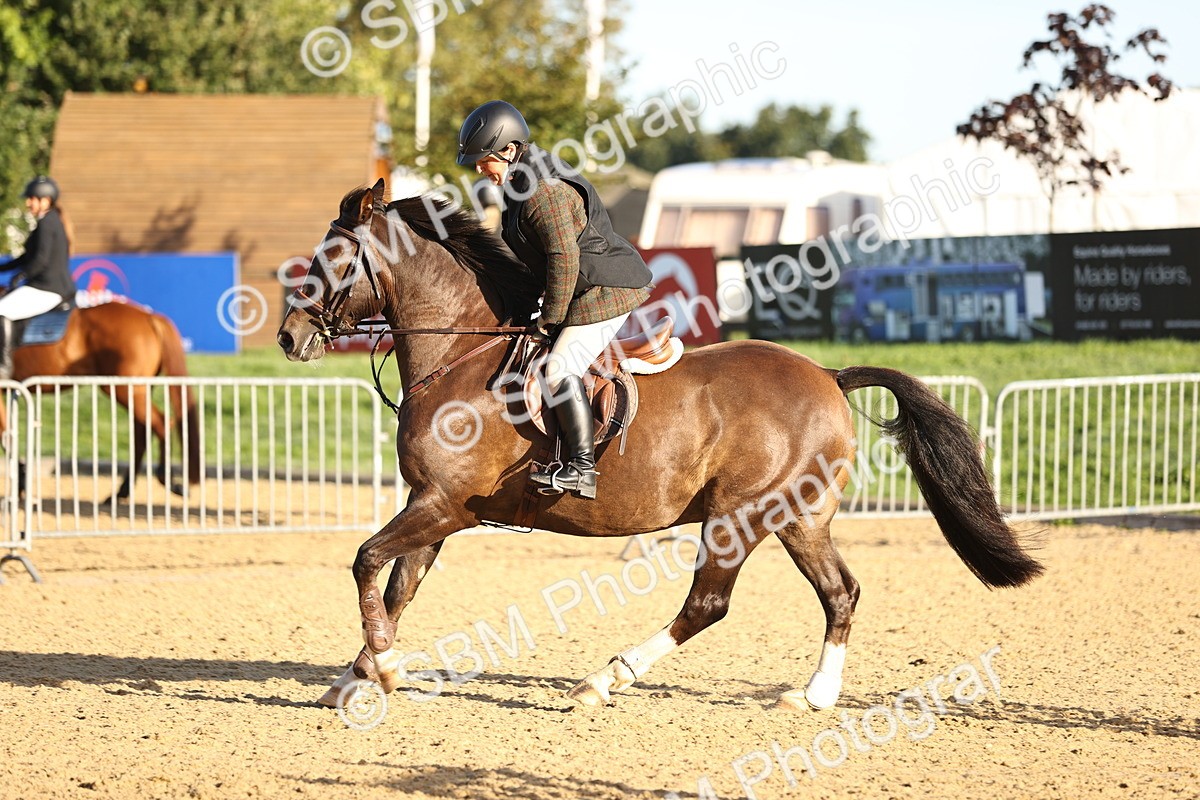 SBM_33104 - J38 - Senior 80cm Championship