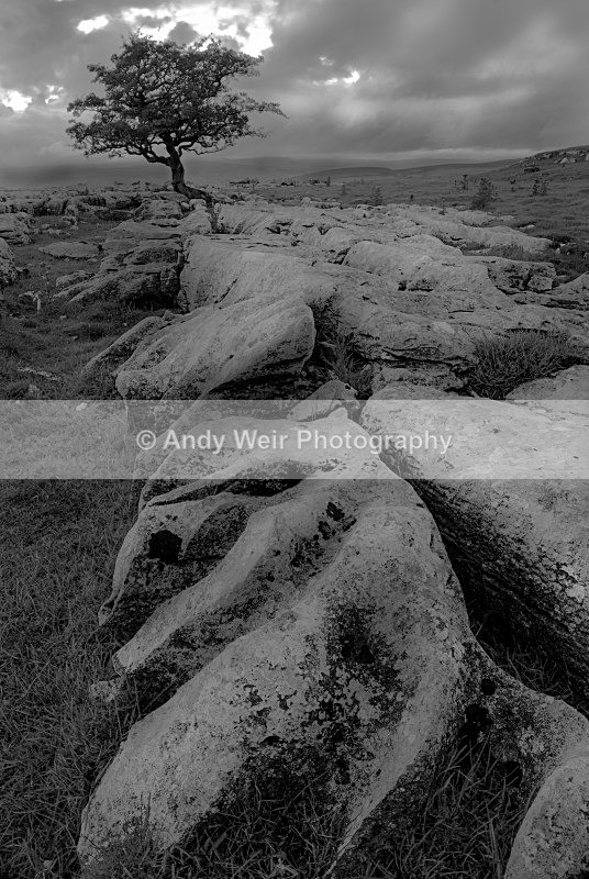 20120630-_MG_9138-1234-1244 - England