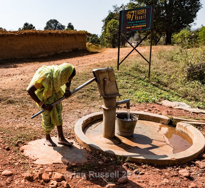  - Indian Safari 2017