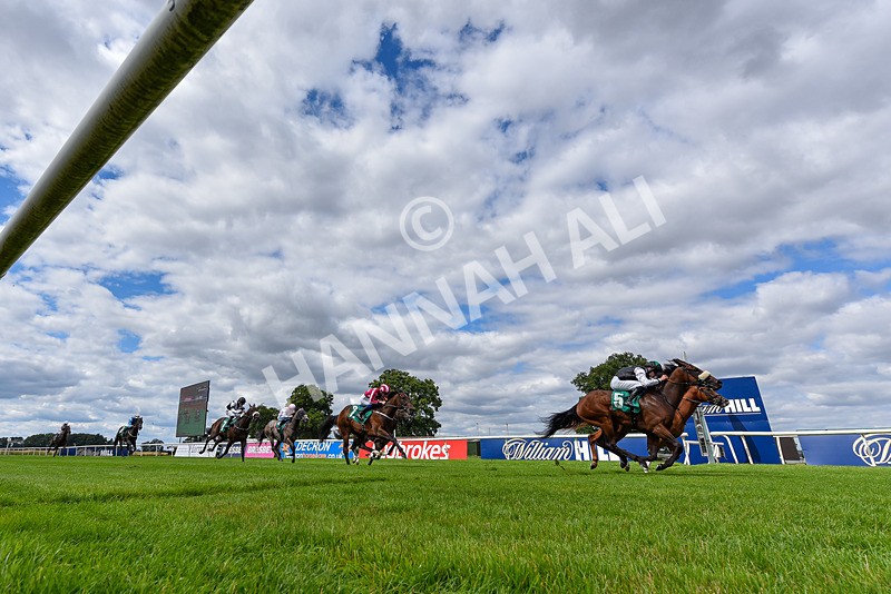 020825-Race 1-Rikki Tiki Tavi-8055 - Race 1