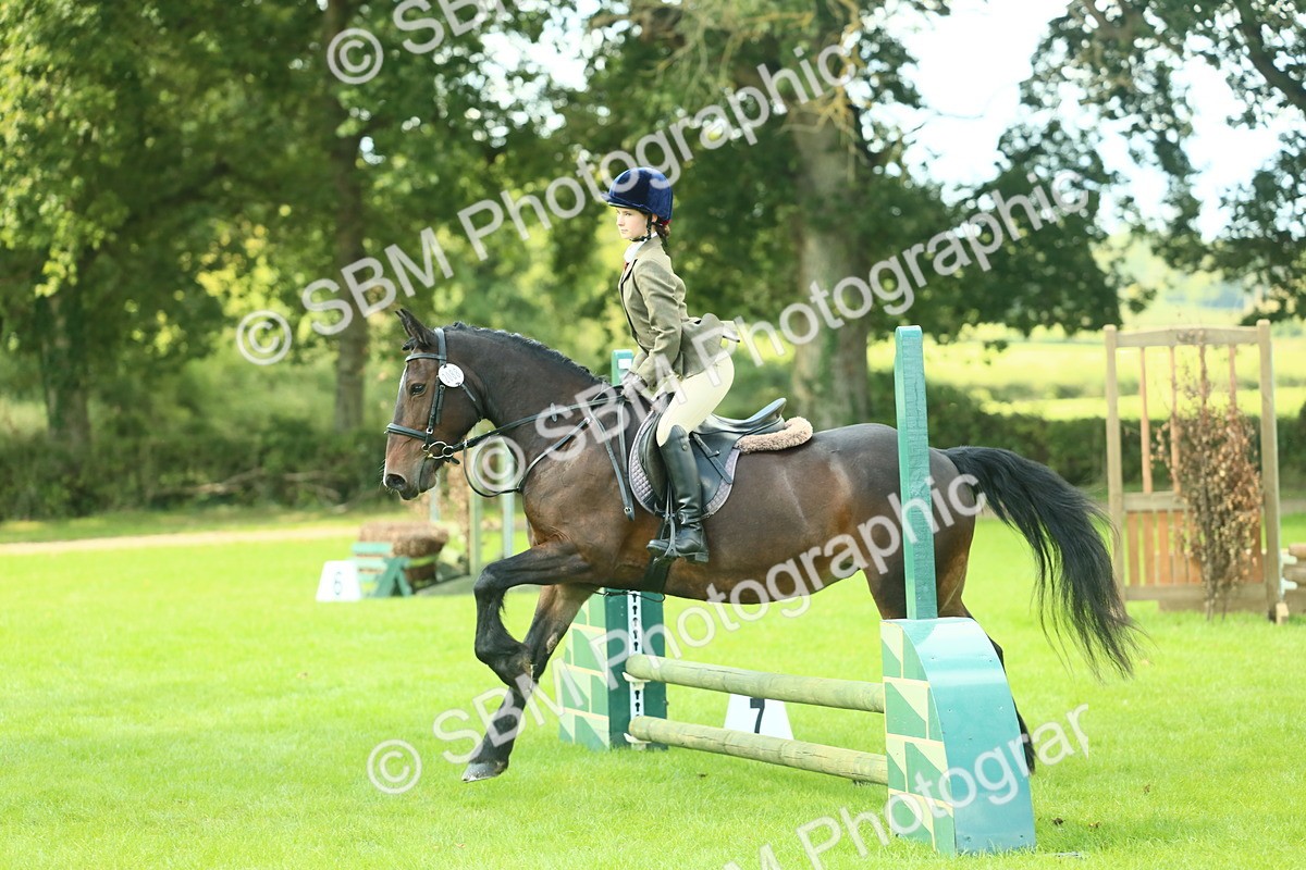 SBM_42048 - S29 - Novice & Newcomers Working Hunter Pony