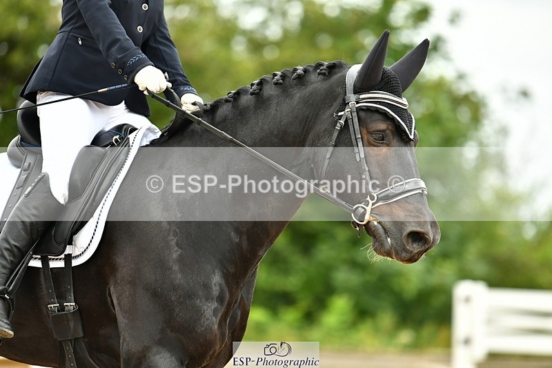 230702A-101523-08336 - Cls 23 Prelim 19