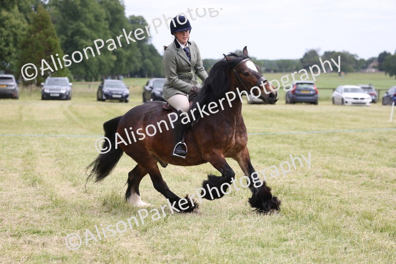 20260614-2945 - Class 22 - Open Working Hunter