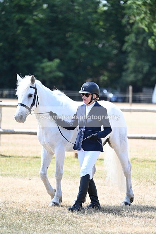 WJ7_2320 - Class 5a Most Handsome Gelding in hand (above 14.2hh)
