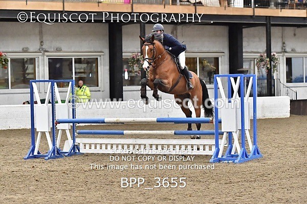 BPP_3655 - FRI CLASS 21 BR NOVICE/90CM