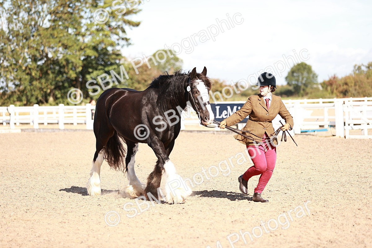 SBM_12612 - Class 404 - IH Traditional - Native Cob
