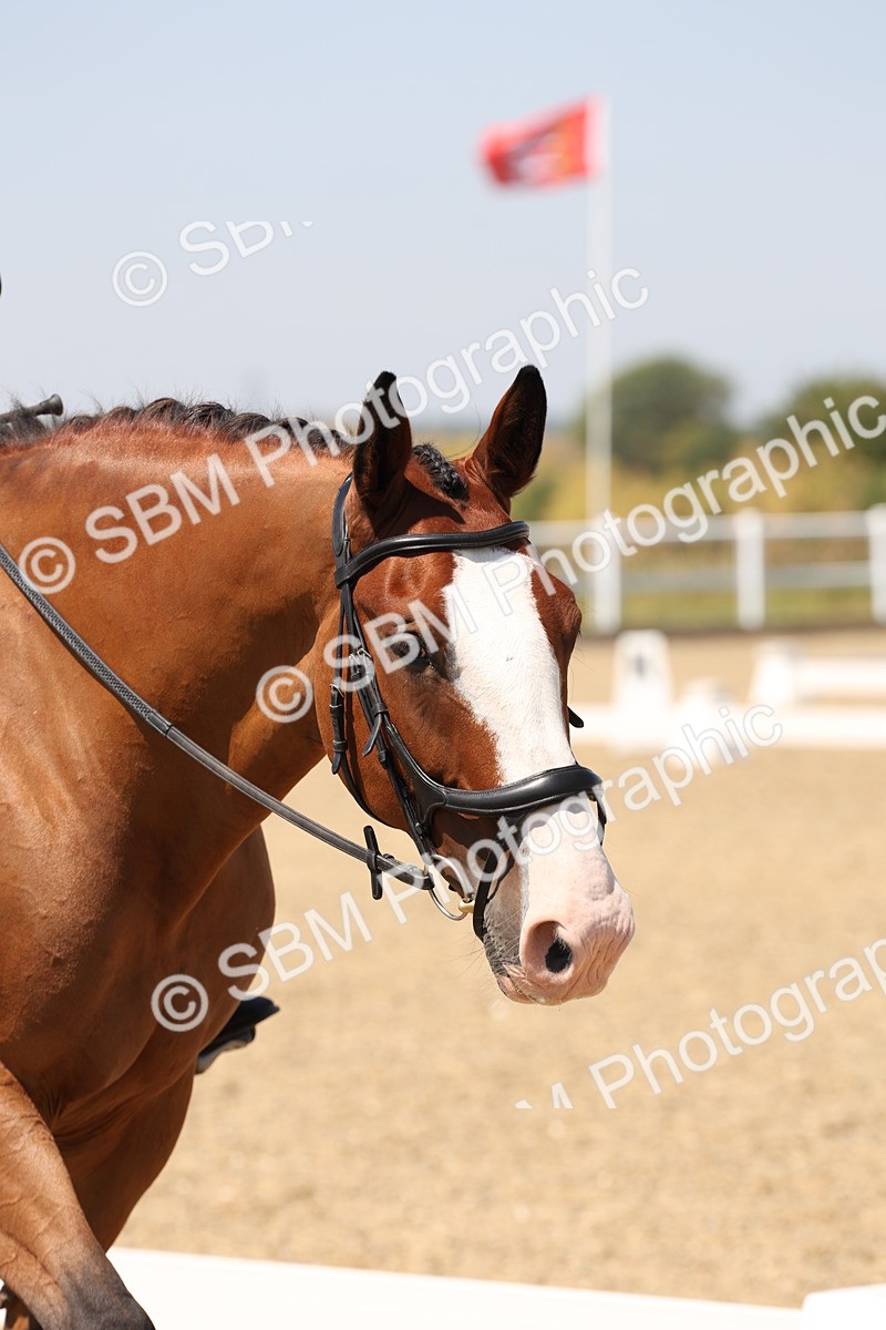 SBM_004990 - Prelim 4 - 13.34-15.39