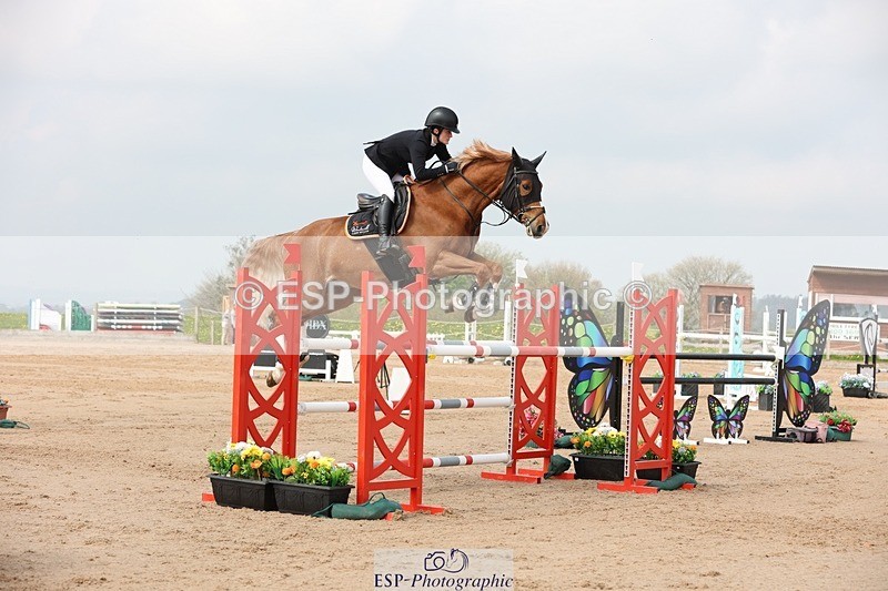 250424-110354-03364 - Cls 33 Young Horse 7yr old