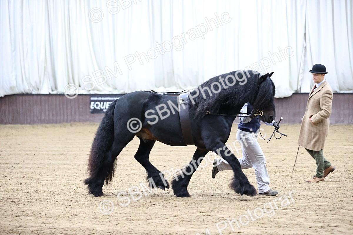 SBM_5301 - Class 32 - In Hand Cob Type