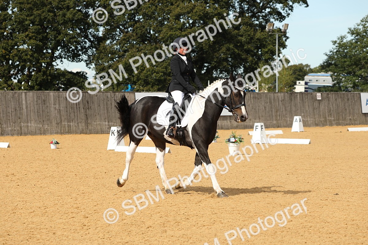 SBM_22190 - D17 - Grand Tour Championship - Novice 27