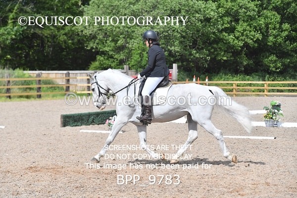 BPP_9783 - ELEM 6 UNAFF