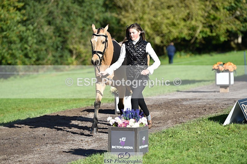 231022-103010-22524 - 442-BICTON.INCREDIBLY.DUN-millie.jo.challinor-TrotUp+SJ