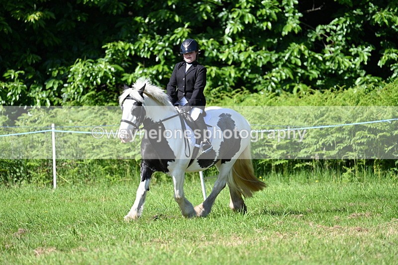 WJ7_0528 - Class 8 First Rally Pony