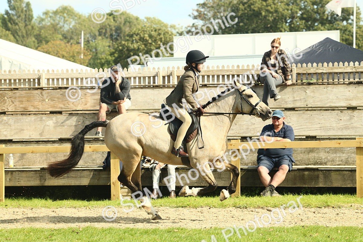 SBM_67640 - S56 - Coloured Pony Ridden