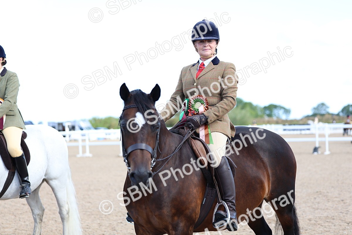 SBM_08977 - Class 302 - Ridden M&M - Large Breeds