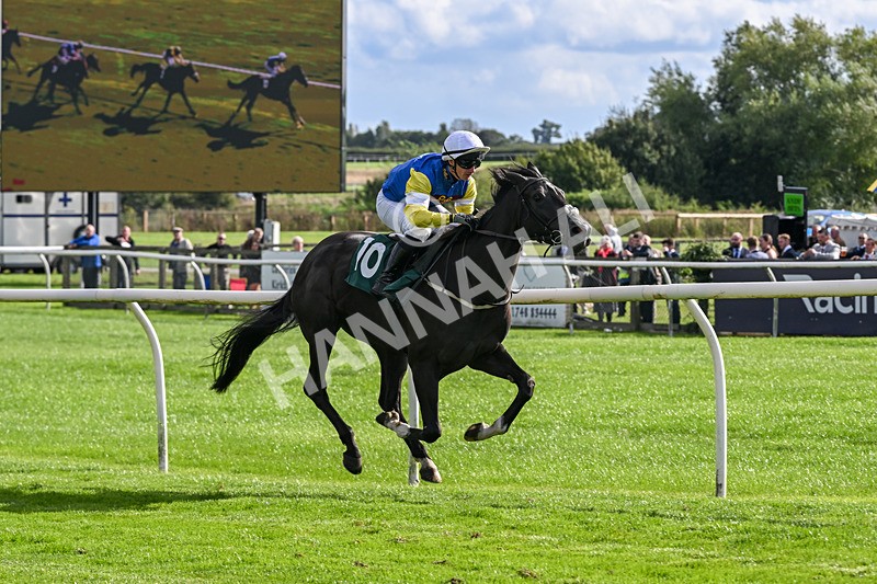 080926-Race 5-Lope Y Linda-2717 - Race 5 4.11pm Every Race Live On Racing TV Handicap