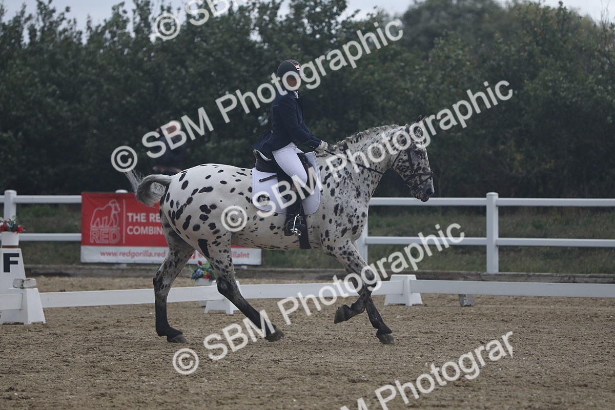 SBM_004024 - Class 5 - Prelim 3 - 15.08-15.50