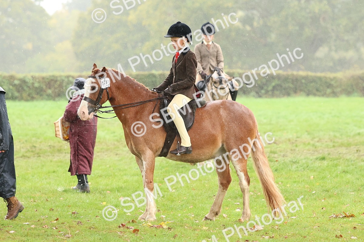 SBM_73076 - S63 Show Pony & Show Hunter Pony Ridden