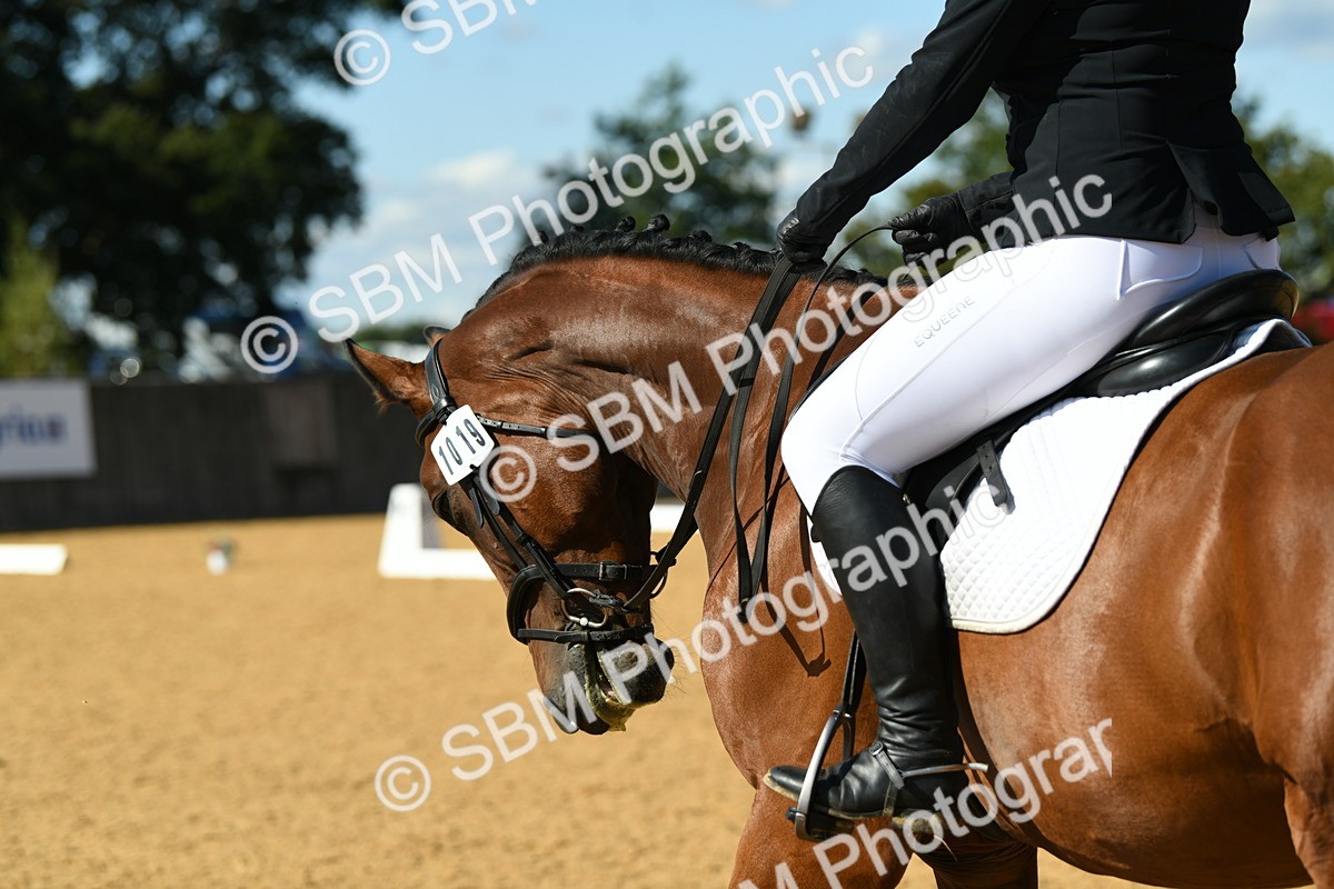 SBM_24978 - D13 - Grand Tour Championship - Prelim 12