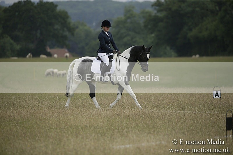 B230619-0376 - Bourne Valley Riding Club Summer Show 23/06/19