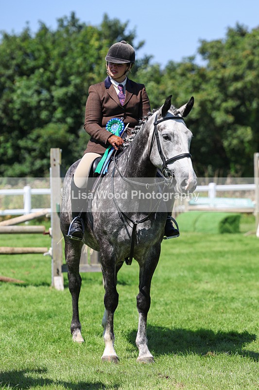 3E7A9108 - Class 6: Open Working Horse