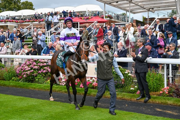 220824-Race 2-Diligently-6519 - Race 2 2.25pm Harry's Half Million By Goffs Premier Yearling Stakes