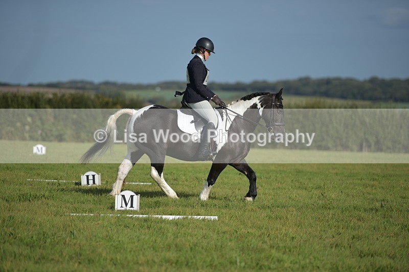RAY_7299 - Class 2B: Trekenning Open: Dressage