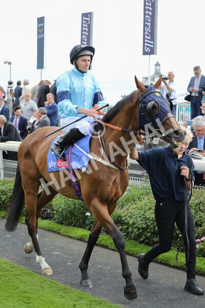 yr17082022r5-7 - Race 5 4.10pm Sky Bet Stayers Stakes