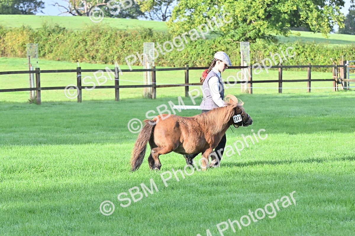 SBM_32578 - S15 - Top Turnout In Hand
